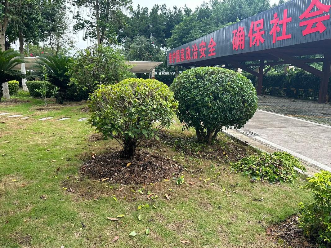 苗木種植基地 園林綠化工程的核心力量與施工要點